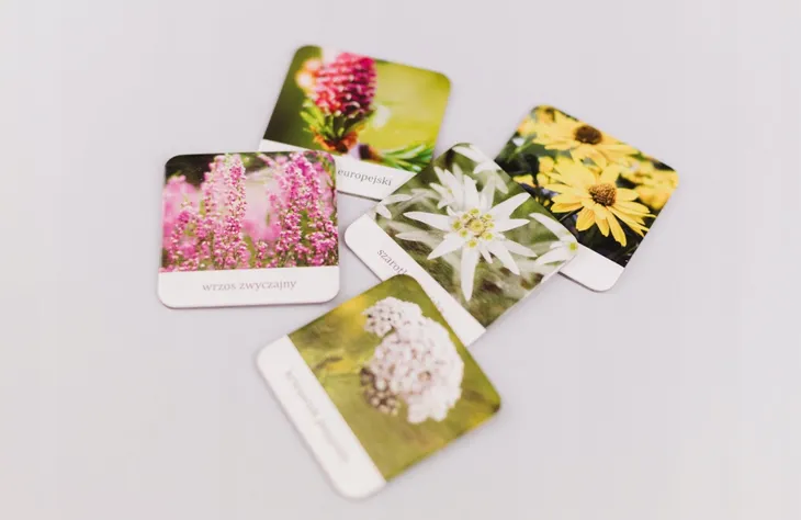 flora-polski-memory-minimalna-liczba-graczy-1