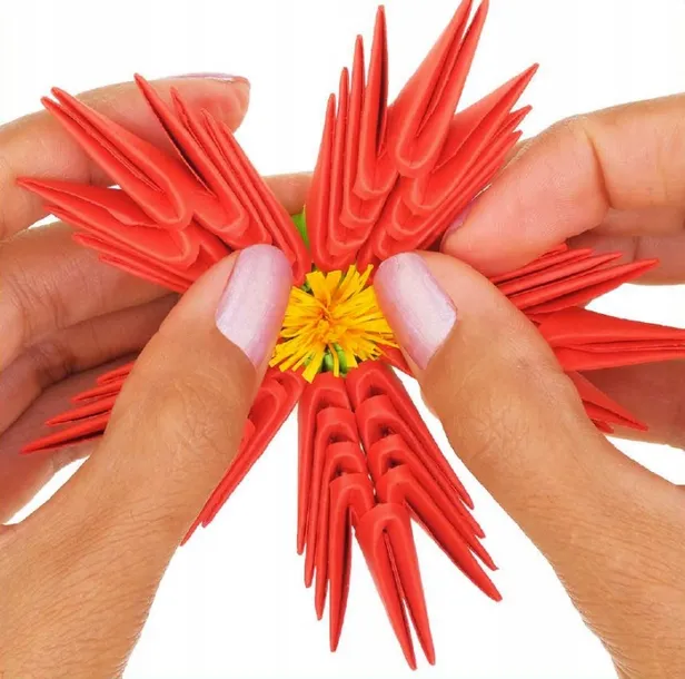 origami-3d-kwiaty-alexander-wiek-dziecka-8-lat
