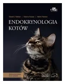 endokrynologia-kotow
