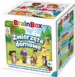 brainbox-zwierzeta-domowe-rebel-stan-nowy