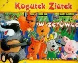 sudol-kogutek-ziutek-w-zerowce-stan-nowy