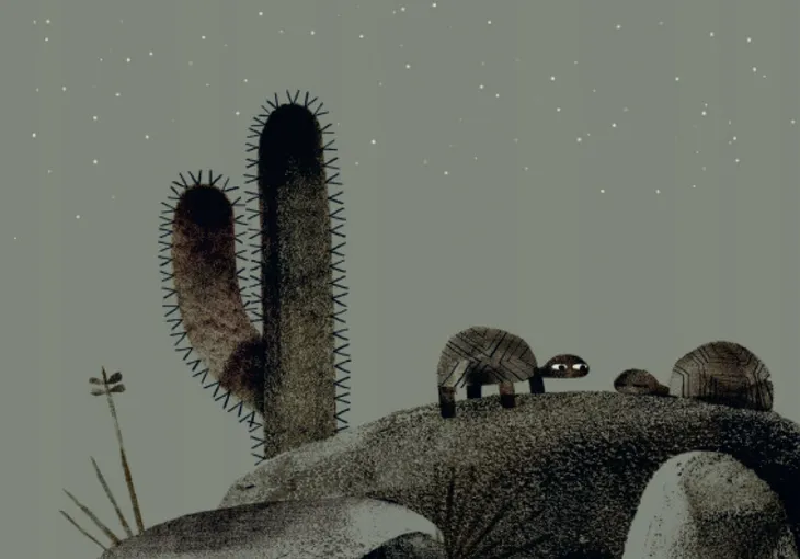 o-kapelusz-jon-klassen-jezyk-polski