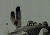 o-kapelusz-jon-klassen-jezyk-polski