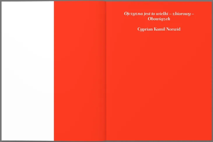 polska-eseje-o-stuleciu-wydanie-standardowe