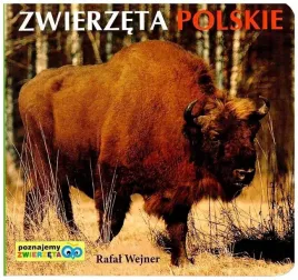 zwierzeta-polskie-poznajemy-zwierzeta