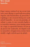 austerlitz-w-g-sebald-stan-nowy