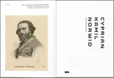 norwid-rysunek-agnieszka-widacka-stan-nowy