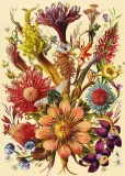 puzzle-1000-flowers-5-kolekcja-flowers