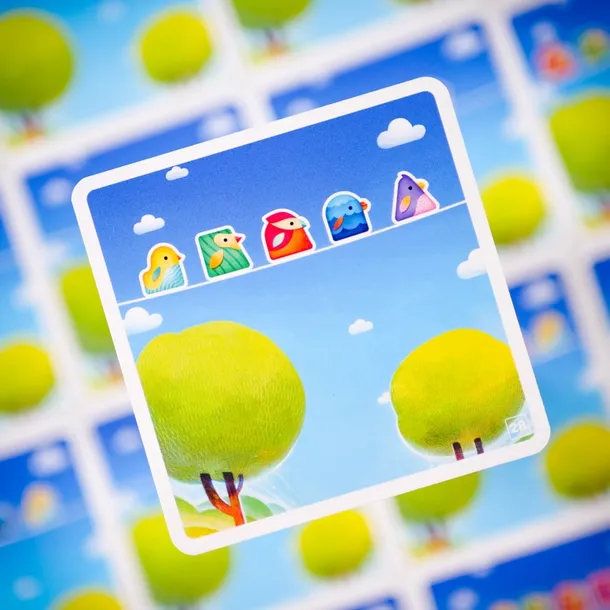 ptaki-60-zagadek-muduko-rodzaj-podstawa