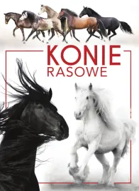 konie-rasowe