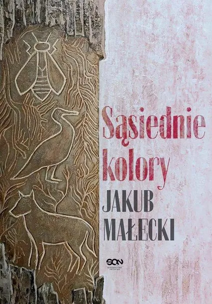 sasiednie-kolory-jakub-malecki-wydawnictwo-wydawnictwo-sqn