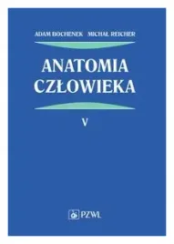 anatomia-czlowieka-tom-5-bochenek-reicher