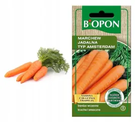 biopon-nasiona-marchewka-wczesna-smaczna-soczysta-jadalna-typ-amsterdam-4g
