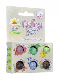feelings-box-kulki-z-nasionami-kwiatow-dla-zapylaczy