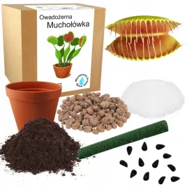 mucholowka-owadozerna-nasiona-zestaw-do-uprawy-do-sadzenia-nasiona-5-szt