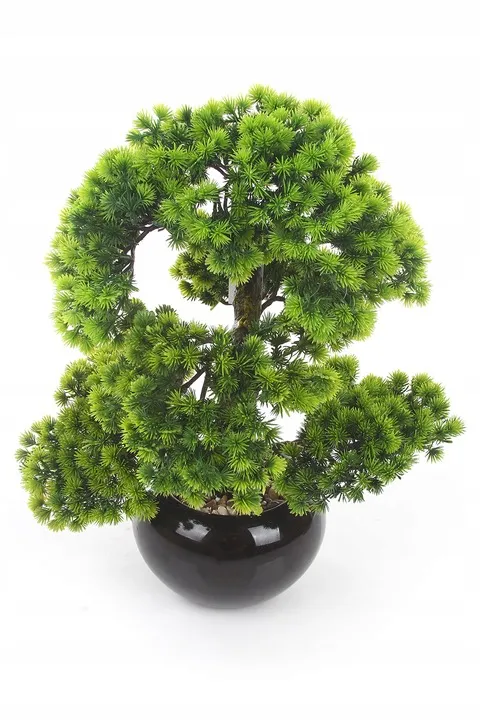 sztuczne drzewko BONSAI LARCH 48x35 modrzew w ceramicznej czarnej doniczce   232220979 - ERLI.pl
