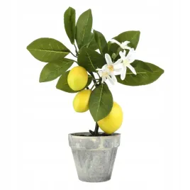 sztuczne-drzewko-bonsai-cytrynowe-do-dekoracji-wnetrz-i-imprez
