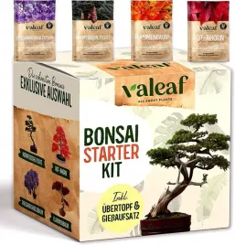 zestaw-startowy-do-uprawy-drzewek-bonsai-4-rodzaje-nasion-prezent