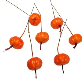 dynie-dekoracyjne-pik-opakowanie