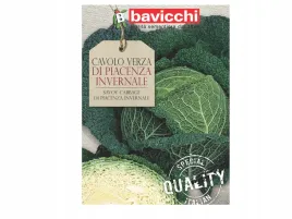 kapusta-wloska-di-piacenza-invernale-odporna-na-choroby