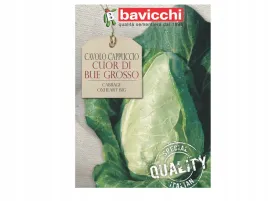 kapusta-cuor-di-bue-grosso-delikatny-slodki-smak-nasiona-bavicchi
