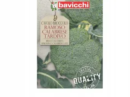 brokul-calabrese-tardivo-lekko-orzechowy-smak-nasiona