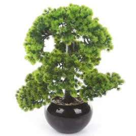 sztuczne-drzewko-bonsai-larch-48x35-modrzew-w-ceramicznej-czarnej-doniczce