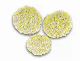 pady-polerujace-do-karcher-fp-303-2-863-198-0