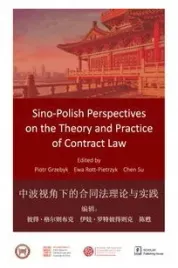 sino-polish-perspectives-on-the-theory