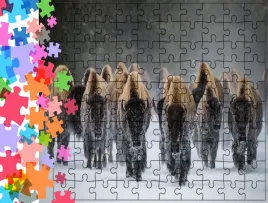 puzzle-tradycyjne-zwierzeta-bizon-producent