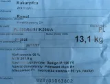 kukurydza-rywal-kod-produktu-2349
