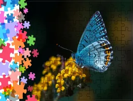 puzzle-tradycyjne-zwierzeta-motyl-producent