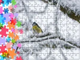 puzzle-tradycyjne-zwierzeta-ptak-producent