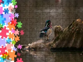 puzzle-tradycyjne-zwierzeta-kaczka-producent