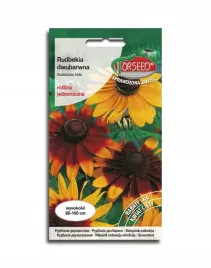 rudbekia-dwubarwna-2g-idealna-na-wysokie-rabaty-torseed