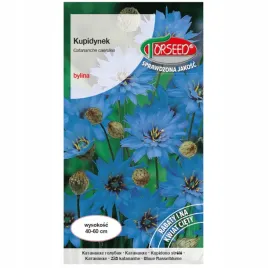 kupidynek-niebieski-nasiona-03g-bylina-torseed