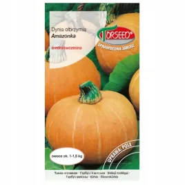 dynia-olbrzymia-amazonka-smaczna-3g-torseed