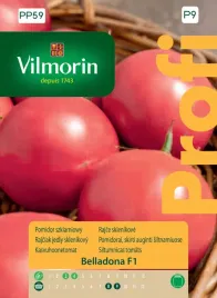 pomidor-belladona-8-szt-nasion-szklarniowy-vilmorin