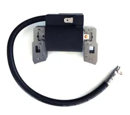 cewka-zaplonowa-briggsandstratton-5km-397358