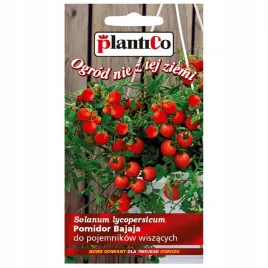 pomidor-karlowy-drobnoowocowy-bajaja-nasiona-plantico