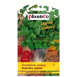 kolendra-siewna-aromatyczna-bogactwo-witamin-jednoroczna-nasiona-plantico