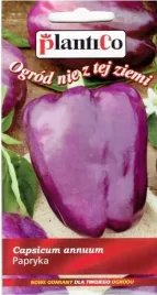 papryka-slodka-oda-ksztalt-block-fioletowa-nasiona-papryki-warzyw