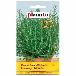 rozmaryn-lekarski-bardzo-aromatyczny-o-szerokim-zastosowaniu-nasiona