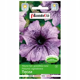 petunia-ogrodowa-zwarta-tecza-o-pachnacych-kwiatach-nasiona-kwiatow