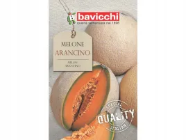 melon-arancino-wloskie-nasiona-bavicchi-pomaranczowy-miazsz