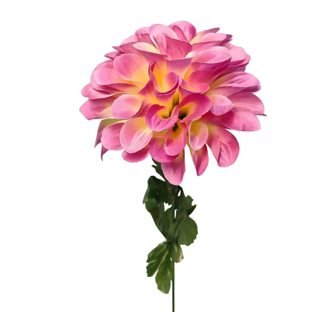 dalia-pojedyncza-fioletowa