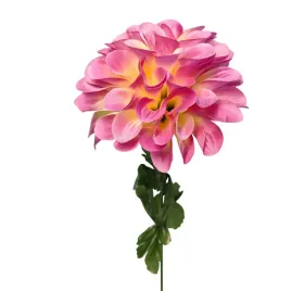 dalia-pojedyncza-fioletowa