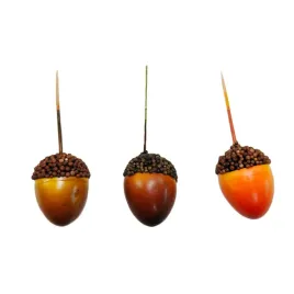 zoledzie-opakowanie-24-szt