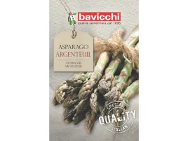 szparag-argenteuil-wloskie-nasiona-szparagow-bavicchi