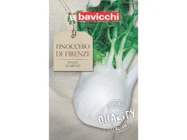fenkul-koper-doux-di-florene-wloskie-nasiona-bavicchi
